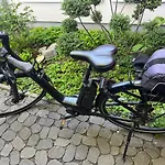 Mit 3 Sz, Direkte Innenstadtlage, Südterrasse, Parkplatz Auf Dem Eigenem Privatgrundstück, 2x E-bike Und E-autoladesäule Inklusive, Konzertkirche, Schauspielhaus, Fh, Jahnsportforum Sowie Der Tollensesee Sind Fußläufig In Ein Paar Minuten Erreic Apartamento *